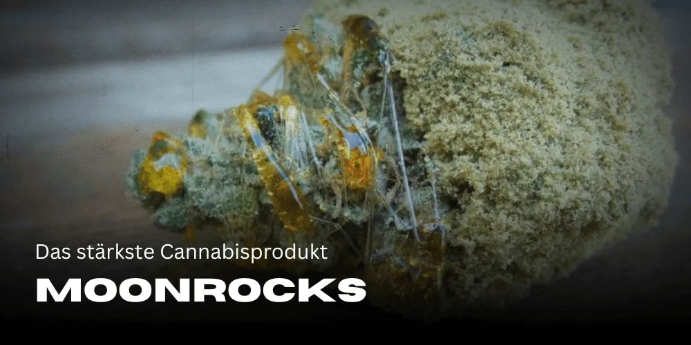 Moonrocks: cel mai puternic produs de canabis
