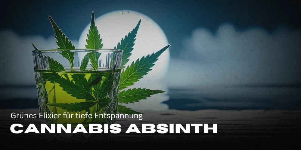 Canabis Absint: Elixir verde pentru relaxare profundă