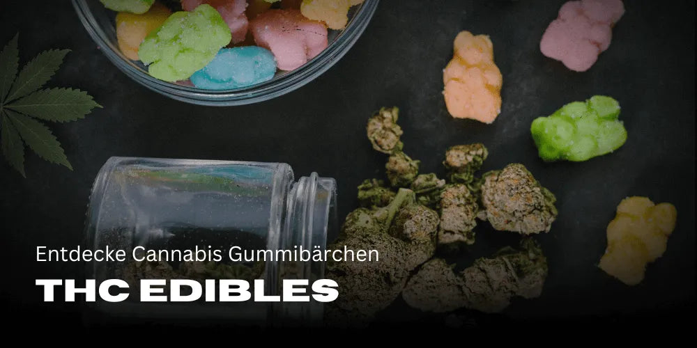 THC Artykuły spożywcze: odkryj Cannabis Żelki