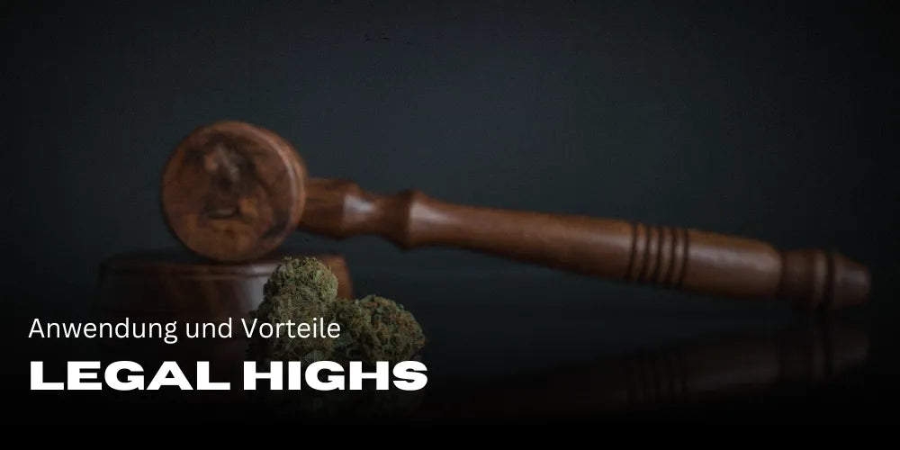 Legal Highs : risques, effets et alternatives