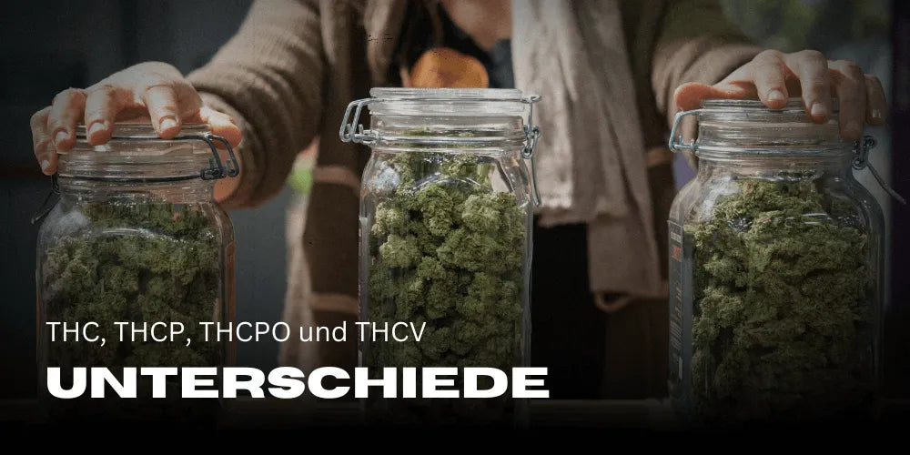 Care este diferența: THC, THCP, THCPO și THCV