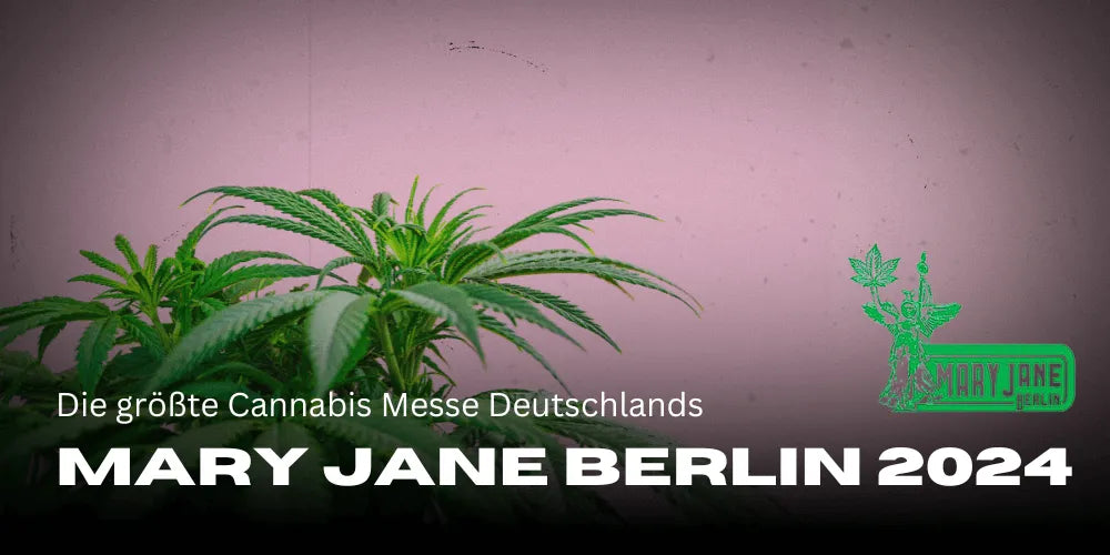 Mary Jane Berlin 2024: Cel mai mare târg de canabis din Germania