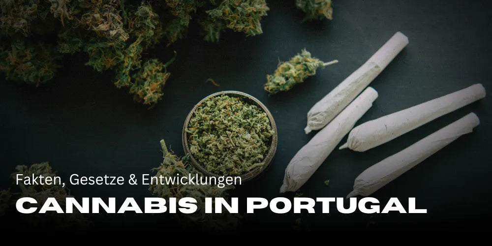 Joints op een tafel met cannabis die gemalen is, omringd door cannabis bloemen