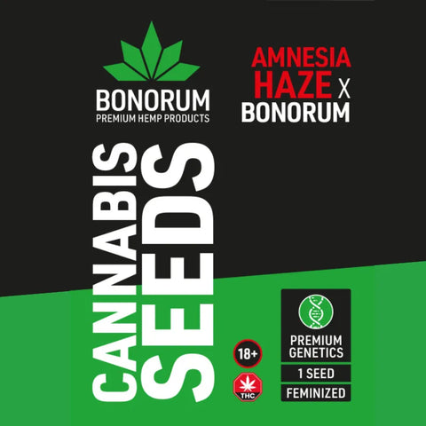 Semillas de cannabis feminizadas