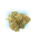 10-O El Chapo 1g 10%