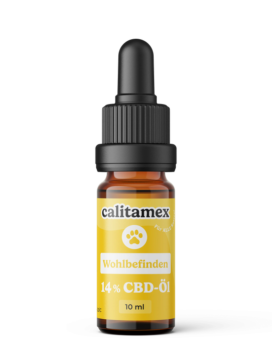 CBD-olie welzijn voor honden 10ml