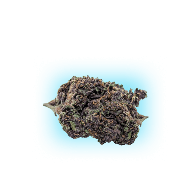 Sweed Cali Ice Cream Cake Blüte