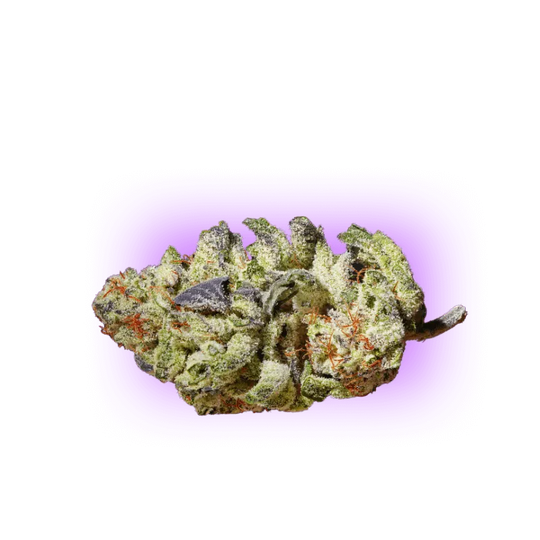 CBD Blüten Purple Haze 1g