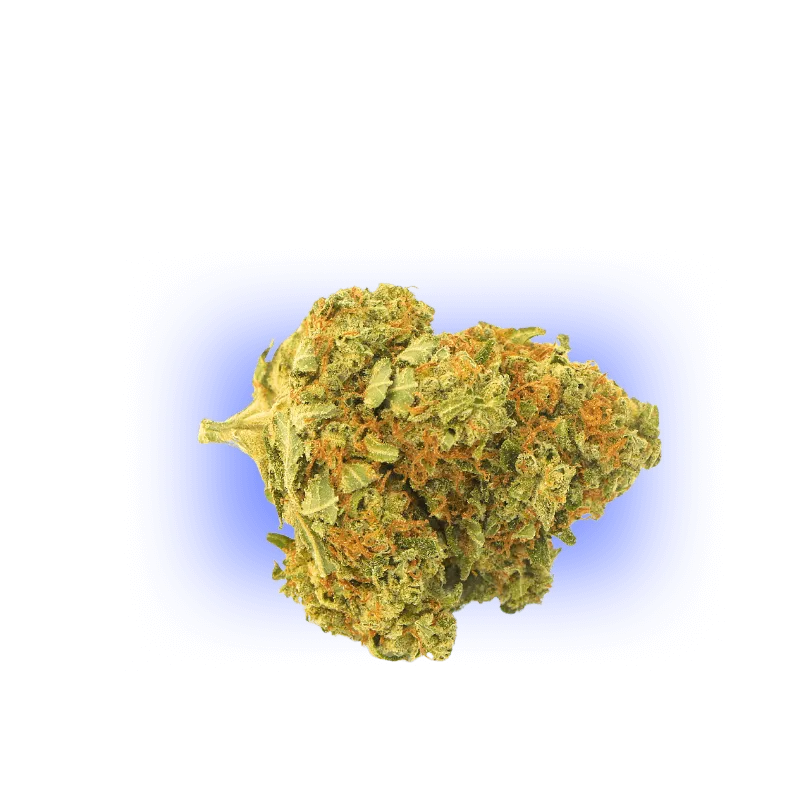 CBD Blüten Gorilla Glue 1g