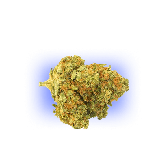CBD Blüten Gorilla Glue 1g