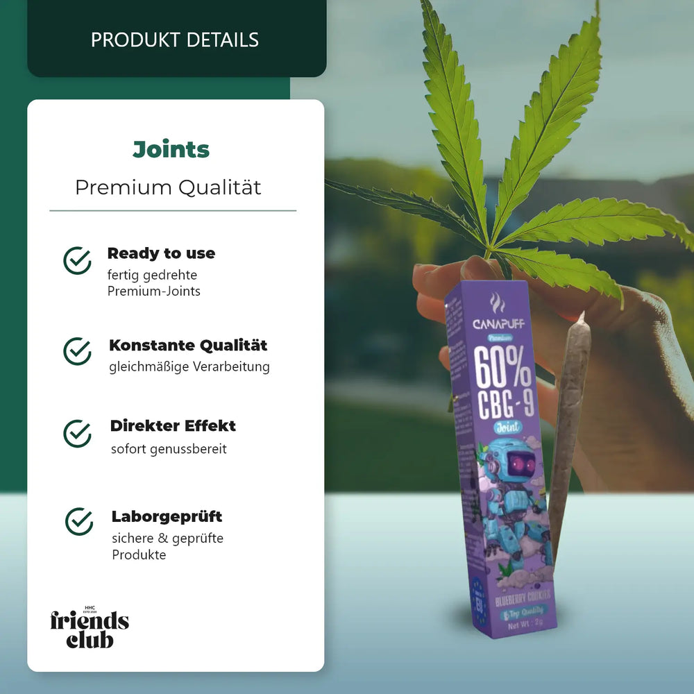 CBG9 Porro Galletas de Arándanos 60% 2g