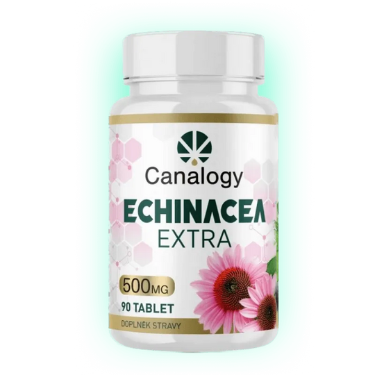 Echinacea Extra 90 Tabletten