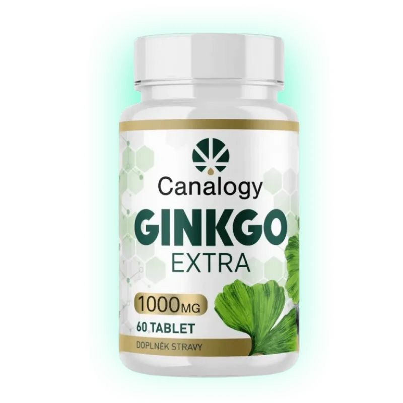 Gingko Extra 90 Tabletten