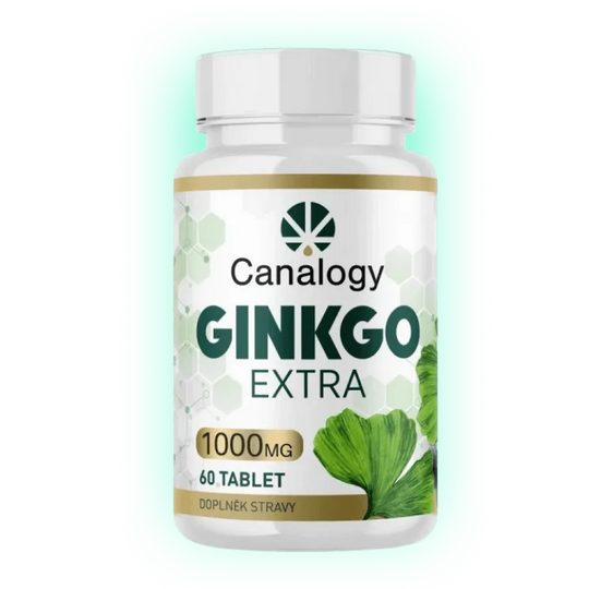 Gingko Extra 90 Tabletten