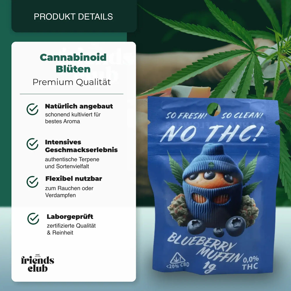 Fleur CBD Blueberry Muffin SANS THC - hhcfriends