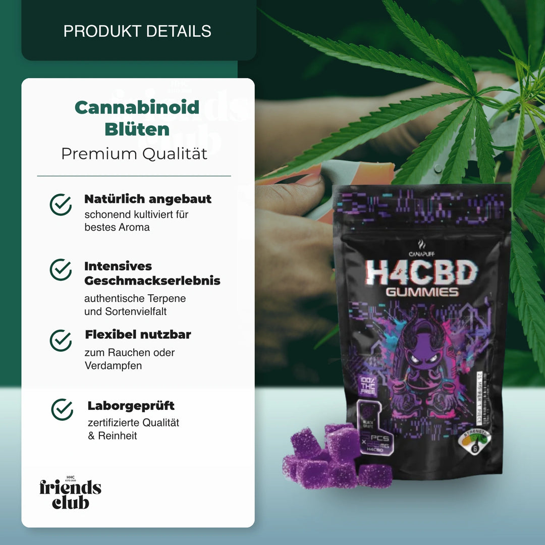 Gummie H4CBD - Black Grape - hhcfriends
