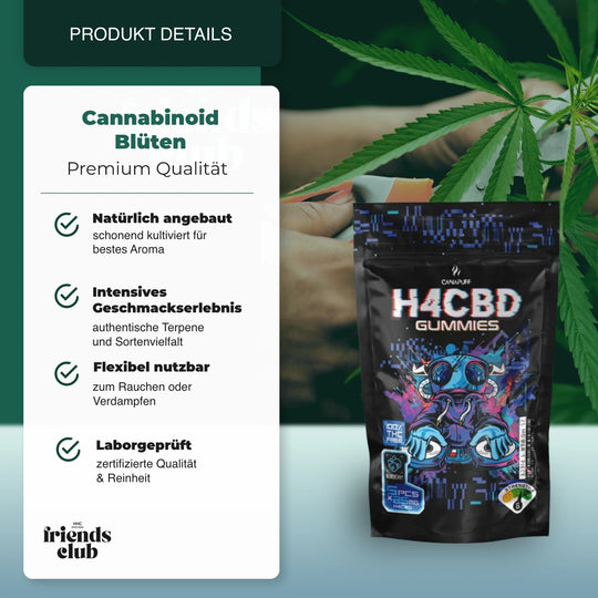 Gummie H4CBD - Myrtille - hhcfriends