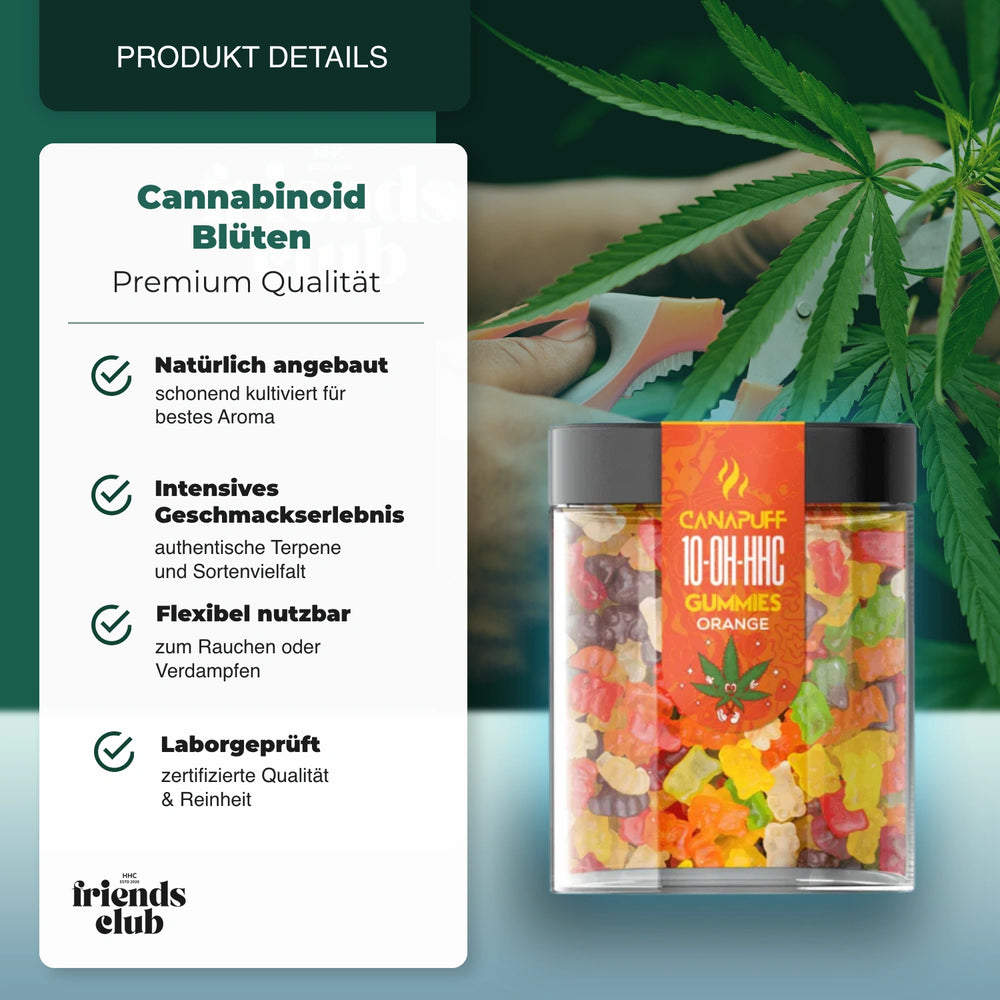 10-OH Gummies Orange 10 Stück - hhcfriends