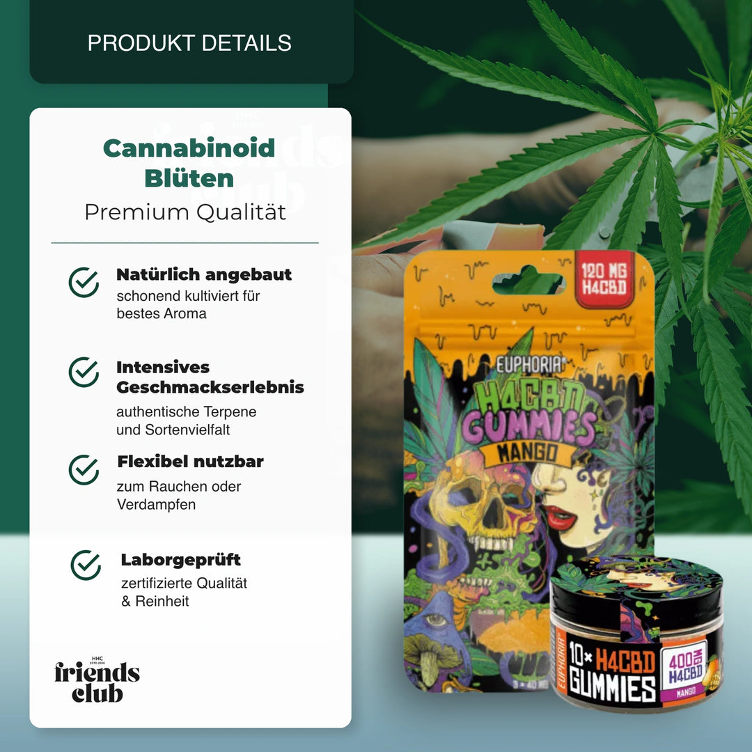 Gummies H4CBD Mangue - hhcfriends