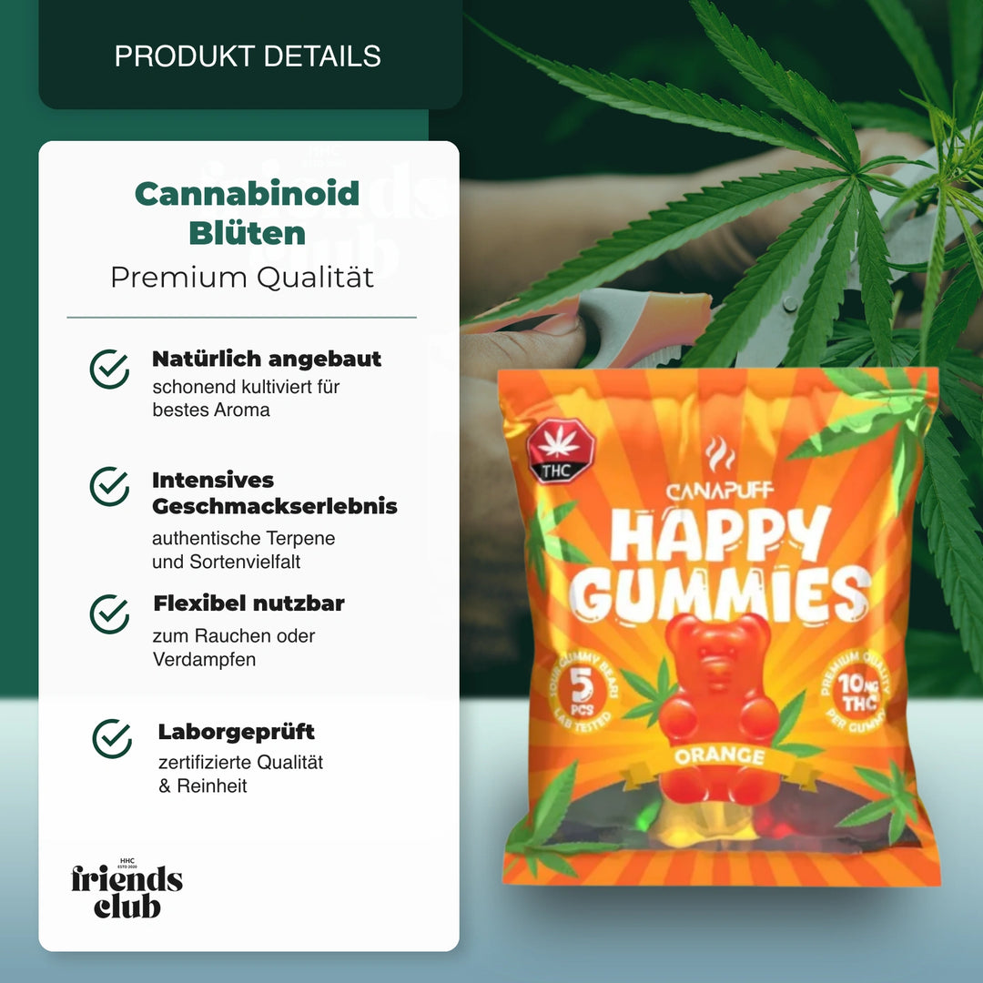 THC Gummibeertjes - Sinaasappel (5 stuks) - hhcfriends