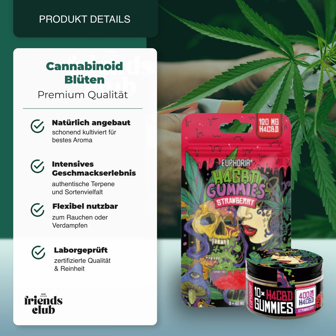 Gummies H4CBD Fraise - hhcfriends