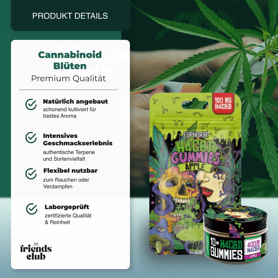 H4CBD Gummies Apfel - hhcfriends
