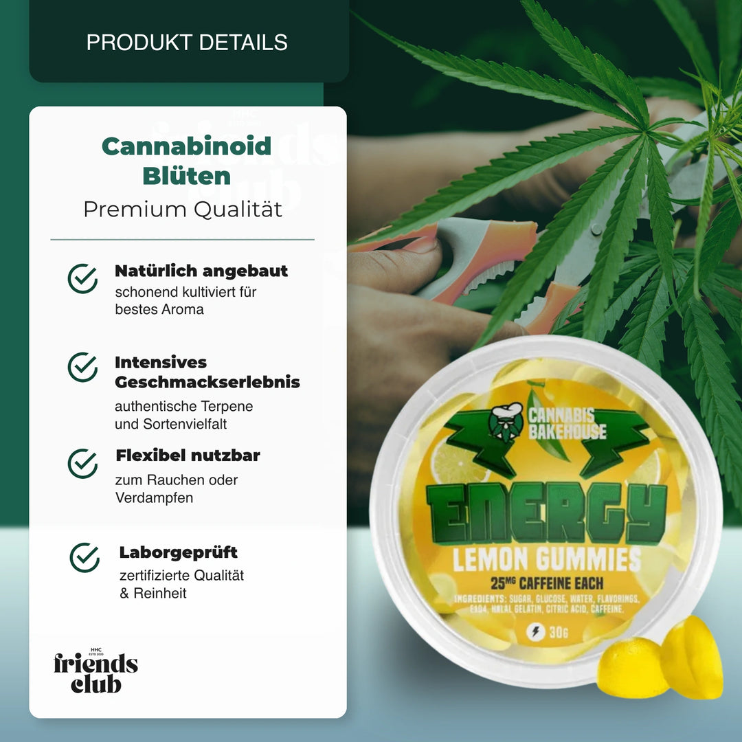 CAFEÏNE ENERGIE GUMMIBEERTJES - CITROEN (30G) - hhcfriends