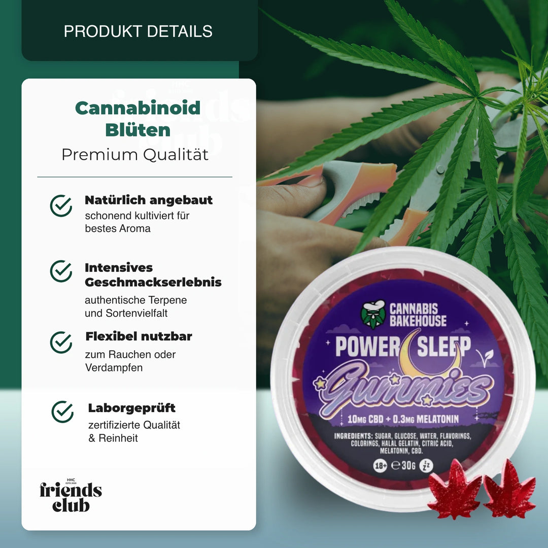 Gummies CBD Sommeil Leaves CASSIS 30g - hhcfriends