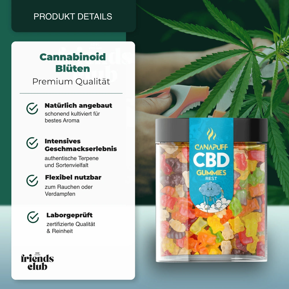 Żelki CBD Rest 10 sztuk - hhcfriends