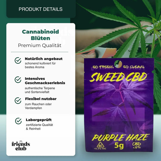 CBD Fleur Purple Haze 5g - hhcfriends
