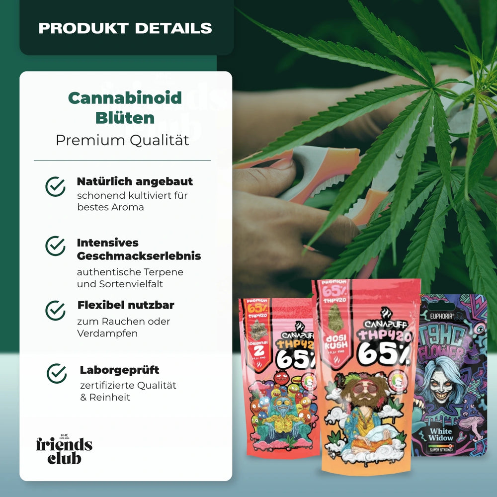 H4CBD Virágok Time Explorer 60%