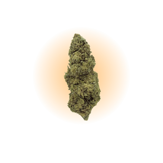 PHC Kwiaty Cannatonic-Smagro GmbH