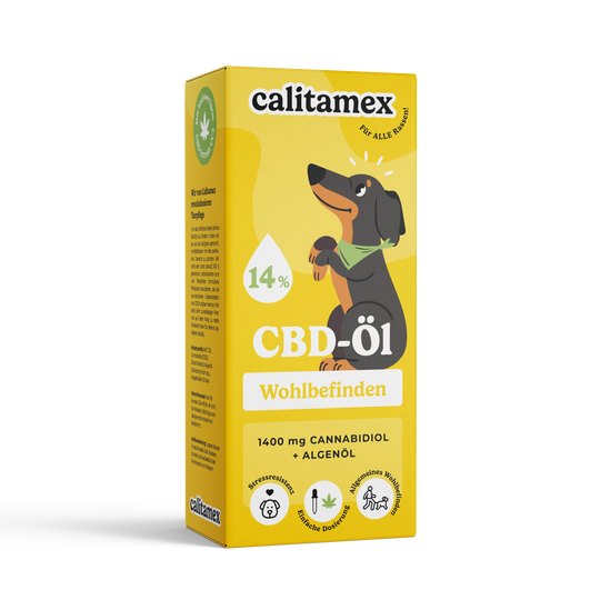 CBD-Olie Welzijn voor Honden 10ml