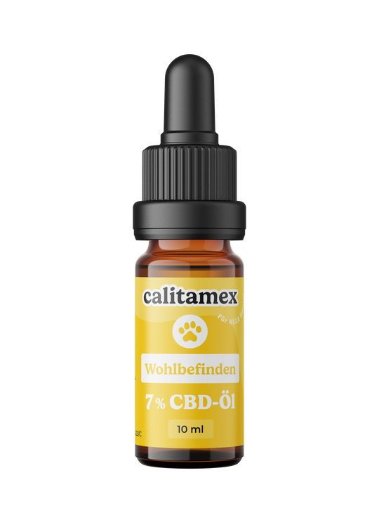 CBD-olie welzijn voor honden 10ml