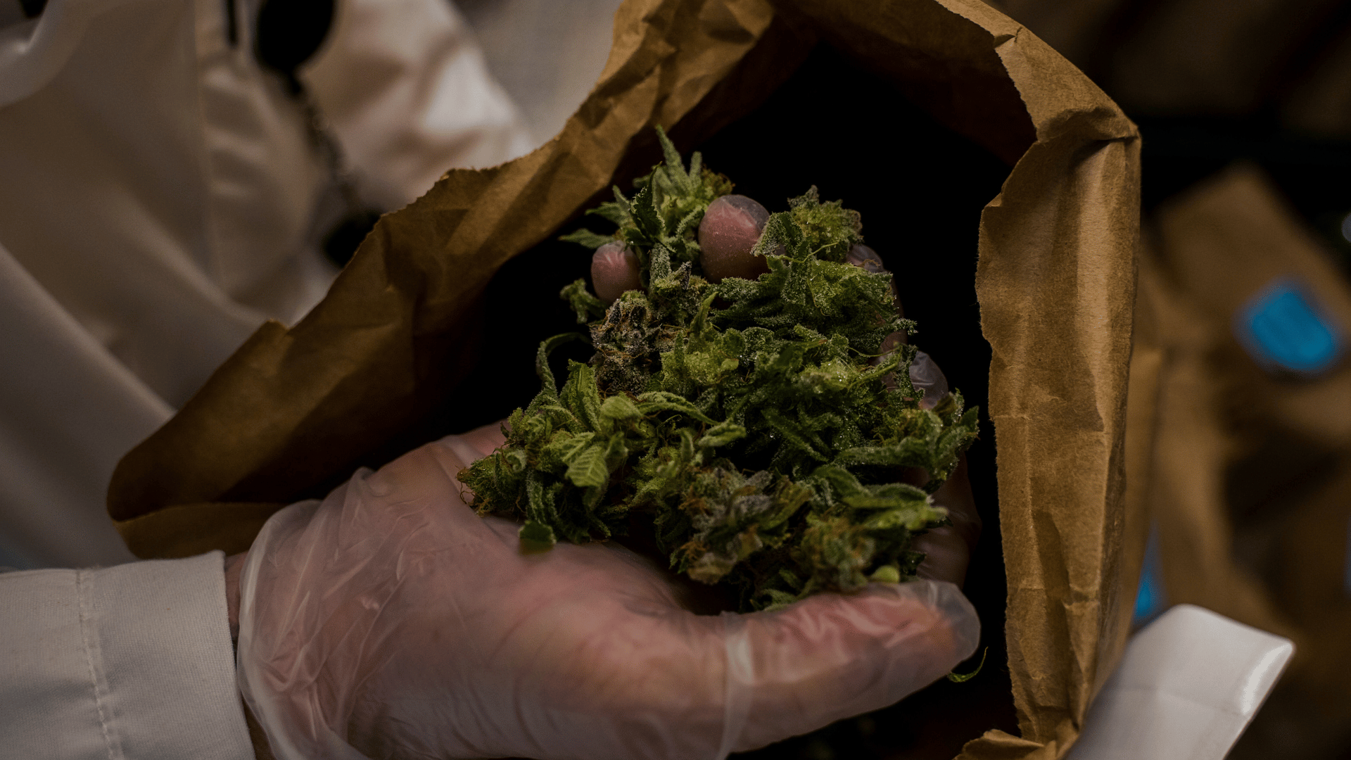 Weed Social Club met grafisch ontwerp.