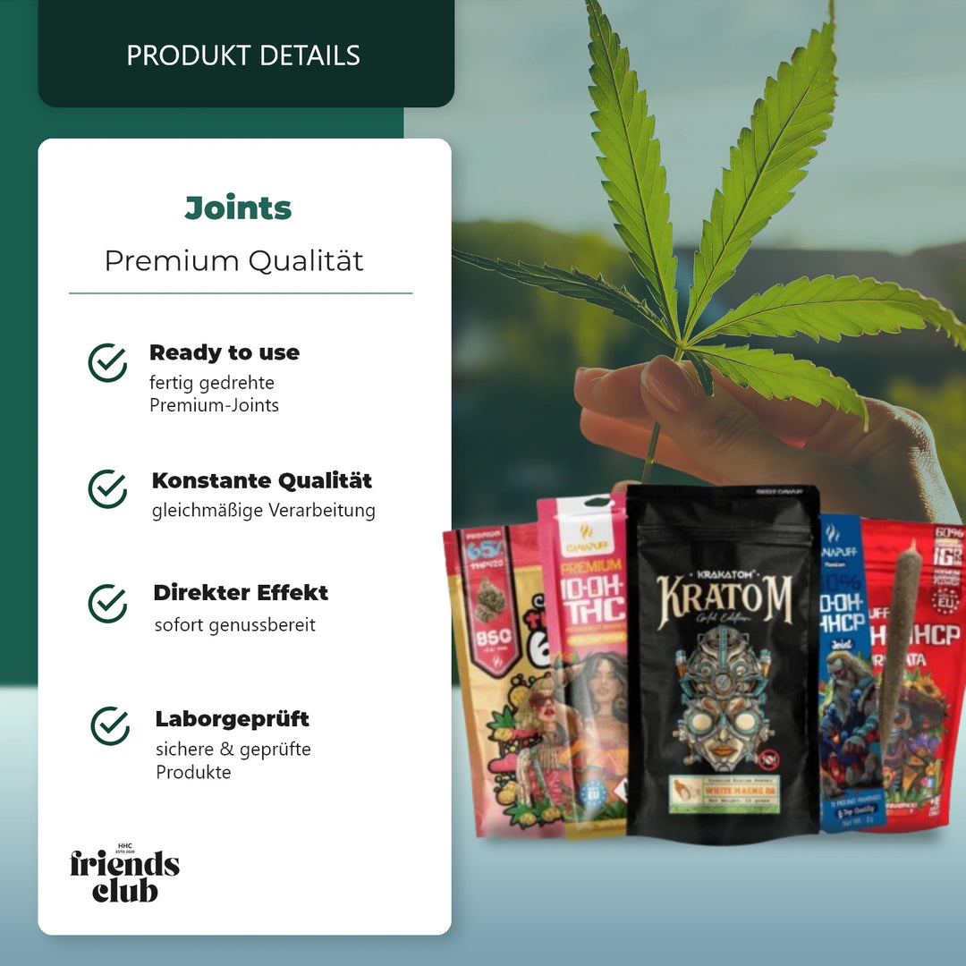 Paquete Amigos Bestseller