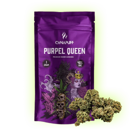 Canapuff Purple Queen 40% HHC