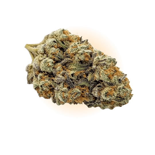 PHC Kwiaty Lemon Cookies-Smagro GmbH