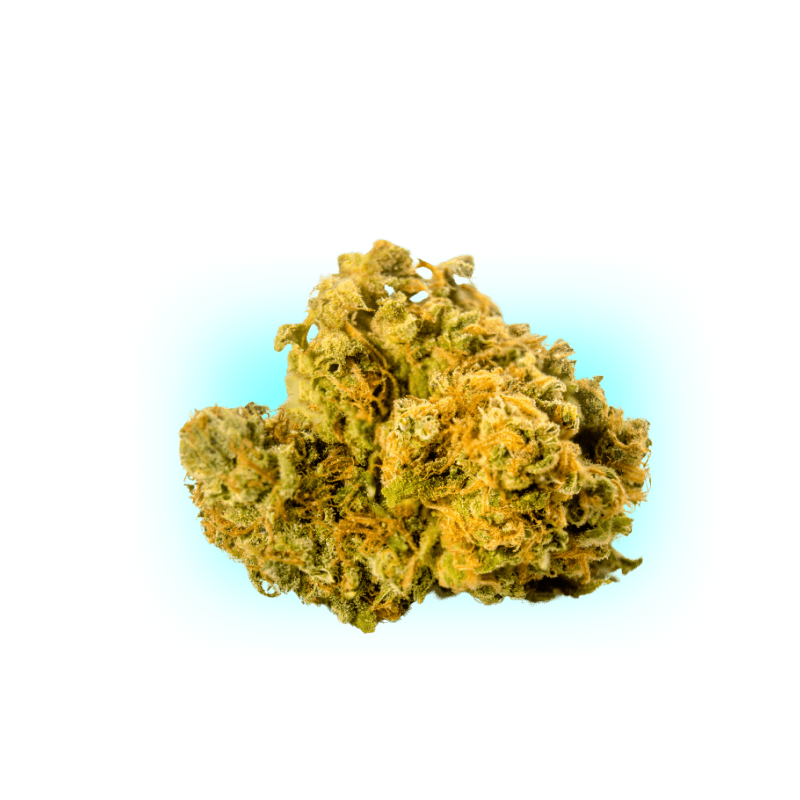 PHC Blüten Mango 25%