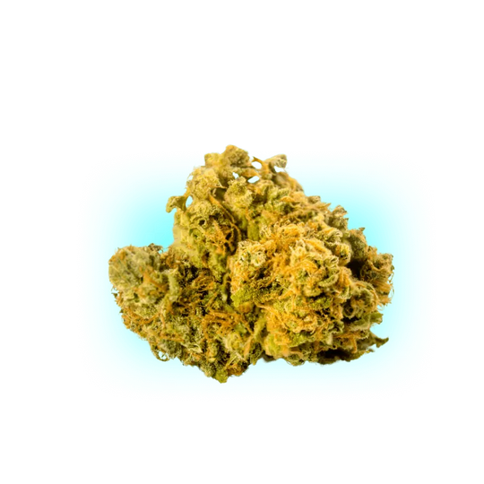 PHC Bloemen Mango 25%