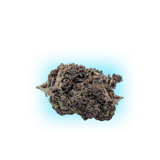 PHC Bloemen Purple Haze 25%