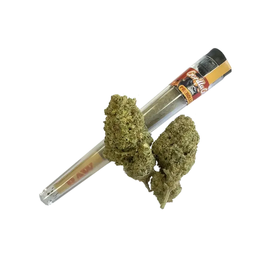 Prerolled HHZ 40% – Gorilla Glue