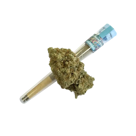 Porro HHZ 40% – Northern Light