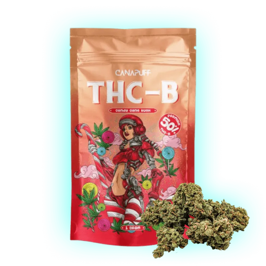 THC-B Candy Cane Kush 50%