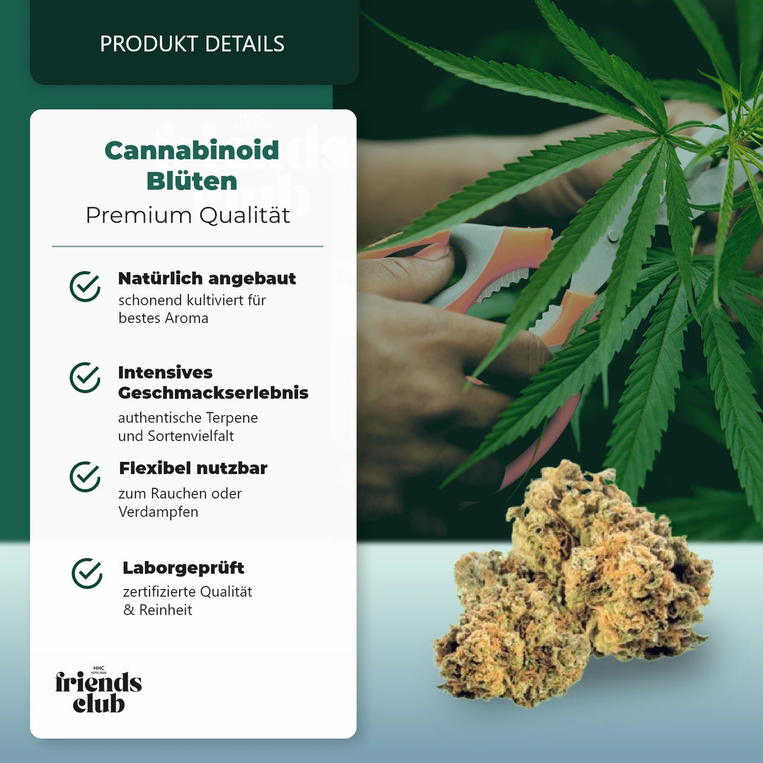 CBD Flower Mango Kush THC Low