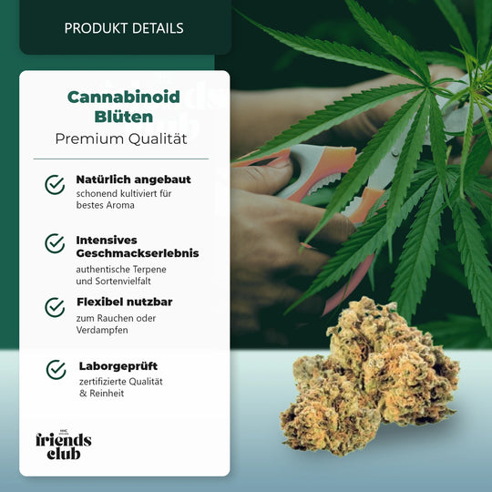 CBD Flower Mango Kush THC Low