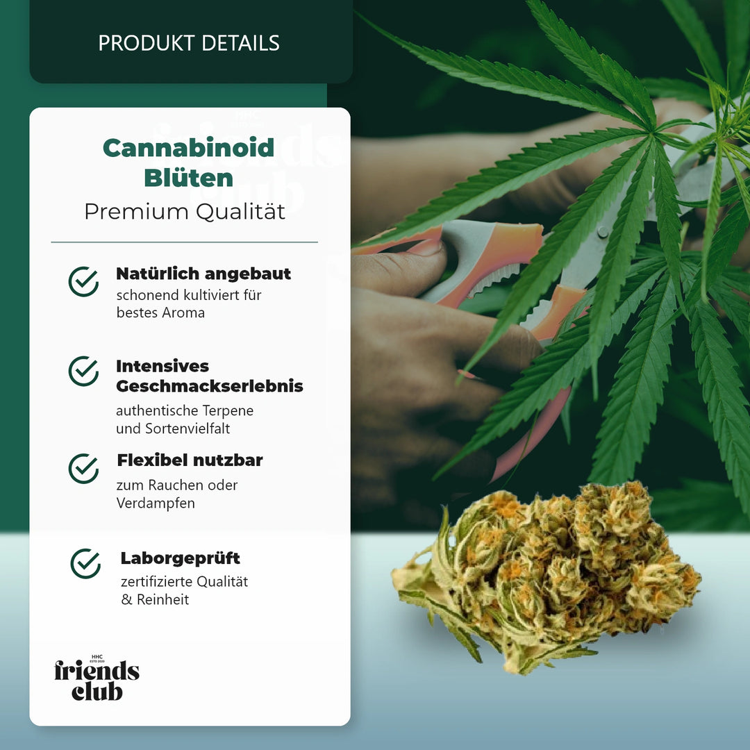 Flori CBD Pineapple Haze THC Low