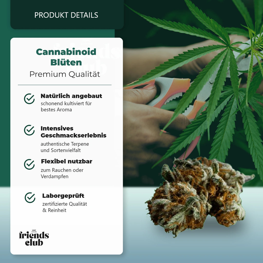 CBD Kwiat Blackberry Muffin THC Niski