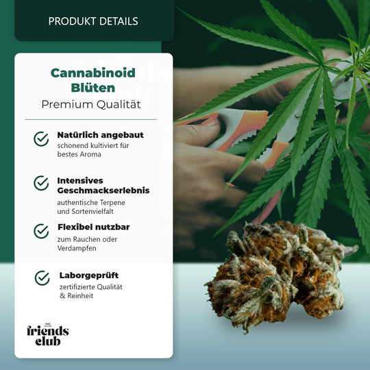 CBD Kwiat Blackberry Muffin THC Niski