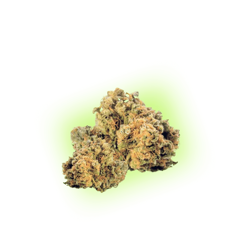 CBD Blüte Mango Kush THC Low